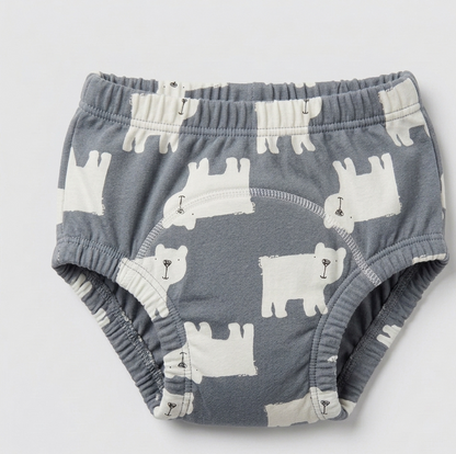 DreamDry™ Training Undies